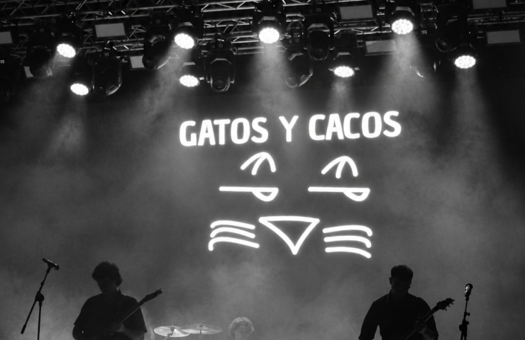 gatos y cacos web